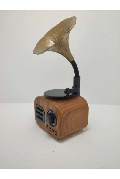 Proton Nostaljik Mini Bluetooth Radyo Gramafon Speaker - 3