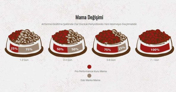 Pro Performance Tavuk-Sığır-Karidesli Yetişkin Kedi Maması 15 KG - 4