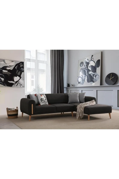 Ak sofa Leon Köşe Sağ Köşe Antrasit - 2