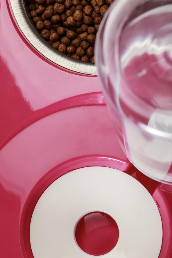 Miapet Çelik Taslı Hazneli Kedi-Köpek Mama Ve Su Kabı Seti 500ml Sarı - 5