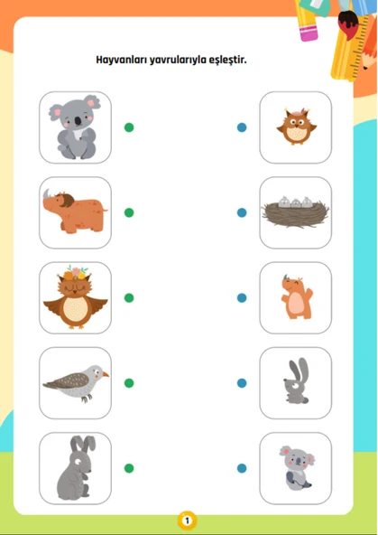 Haydi Eşleştirme Yapalım Cırt Cırtlı YAZ SİL Kitabı - Resim 2