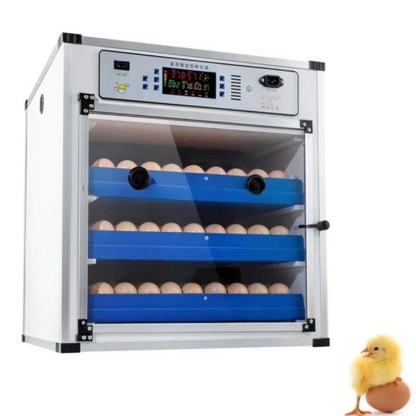 Kaz Uyumlu Kabin Tip Kuluçka Makinesi | 196 Yumurtalık Kapasiteli