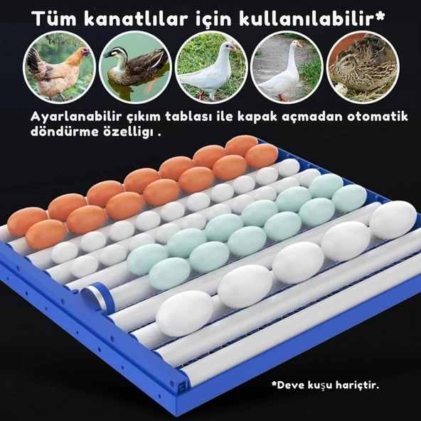 Kaz Uyumlu Kabin Tip Kuluçka Makinesi | 196 Yumurtalık Kapasiteli - 8