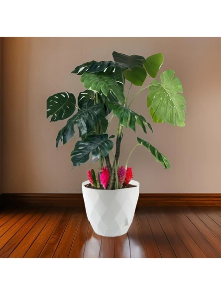 Omnipazar KRS-456 Yakamoz Tabaklı Plastik Saksı Takımı 15 Litre No 6 - Resim 8