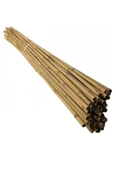 Alanya Fidan Bambu Bitki Destek Çubuğu 100cm (10 Âdet)