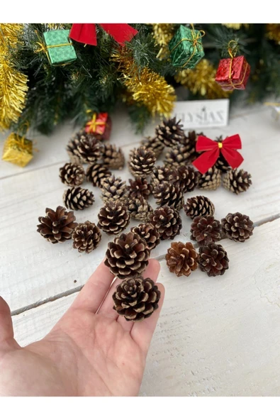 Elysian Kozalak Dekoratif Kış Süsü 25 Adet Yılbaşı Süsleri Yılbaşı Ağacı Süsü Doğal Çam Kozalağı - 2