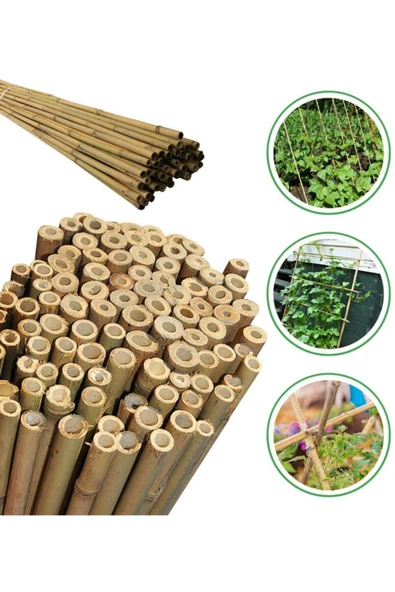 Ersa Hediyelik Bambu Bitki Destek Çubuğu 200 Cm 6'lı - 4