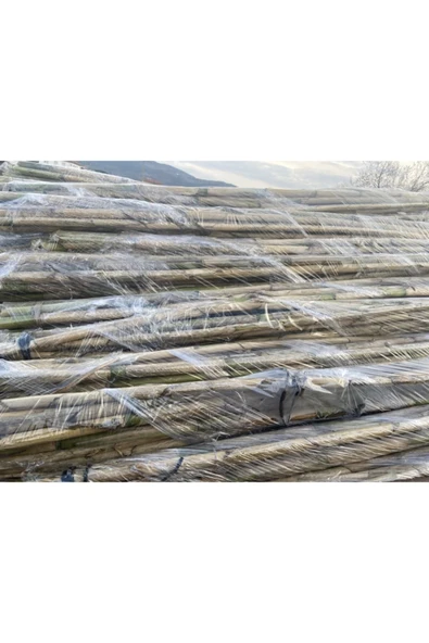 FarmLife Tohum 10 Adet Bambu Bitki Destek Çubuğu 150 Cm (ÇOK KALIN VE DAYANIKLI) - 4
