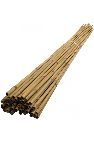 Ersa Hediyelik Bambu Bitki Destek Çubuğu 200 Cm 6'lı - 2
