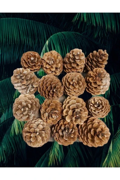 kampustrendy Çam Kozalağı 15 Adet Doğal Dekoratif Süs Kozalağı