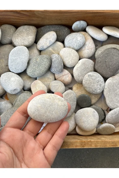 behlül home Taş Boyama Dekoratif Taş Aktivite 20 Adet - 2