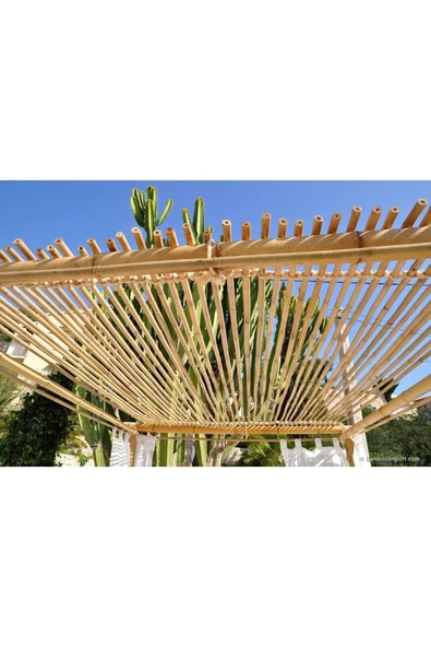 DORUK DEKOR 100 Cm 25 -35 Mm Çiçek Destek Bambu Çubuk 10 Ad. - 2