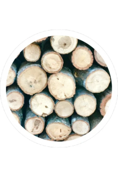ŞÖMİNE HOME Şömine Odunu 20 kg - 2