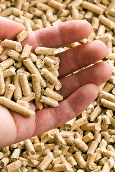 Karplus A1 Kalite Çam Peleti Kedi Kumu 20 Kg - 2