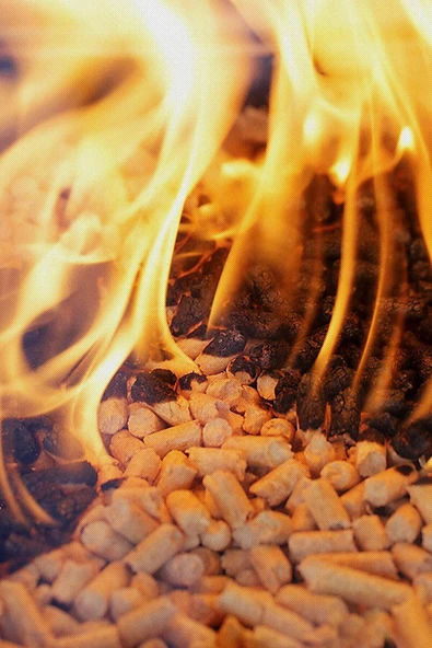 homeneeds A1 Kalite Çam Pelet 20 Kg Ekonomik Külsüz Yeni Nesil Isınma Yakıtı