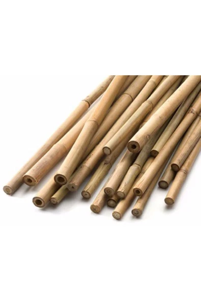 Genta 5'li Bambu Bitki Destek Çubuğu 120 Cm