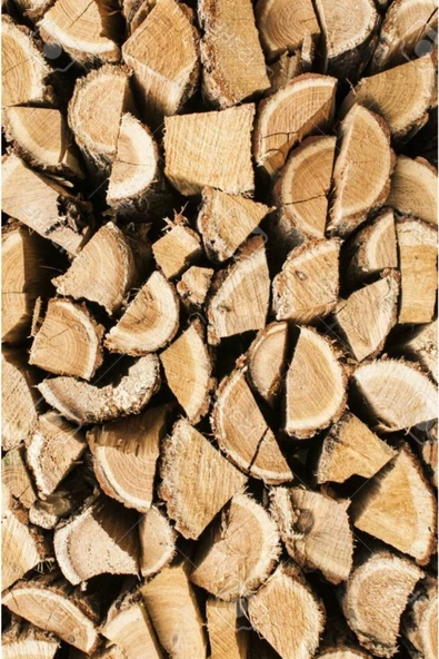 STİL MEYDANI Şömine Odunu 4 Yıl Bekletilmiş Meşe Odunu Hakiki Şöminelik Odun Barbekü Şömine Odunu 100 Kg - Resim 4