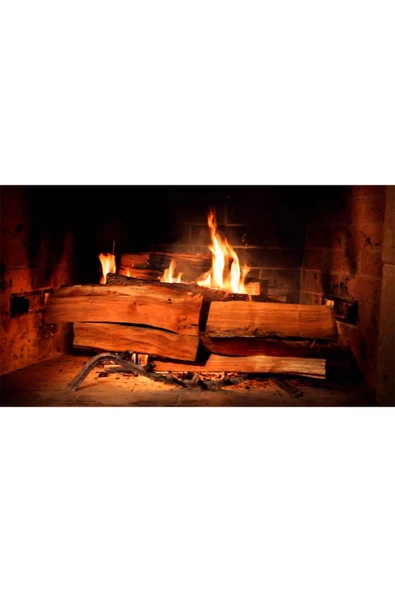 SAREYAPIVEHIRDAVAT 15 Kg Şömine Odunu Meşe Odunu Hakiki Şöminelik Meşe Odunu (çıra Hediyeli) - Resim 2