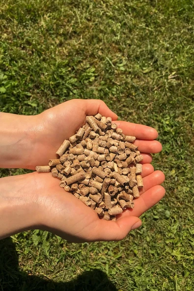 VEAVEN Organik Kedi Kumu Çam Pelet 10lt 6kg