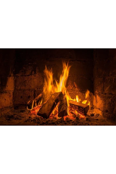 SAREYAPIVEHIRDAVAT 1.kalite Kuru Şöminelik Meşe Odunu 25kg ürün görseli