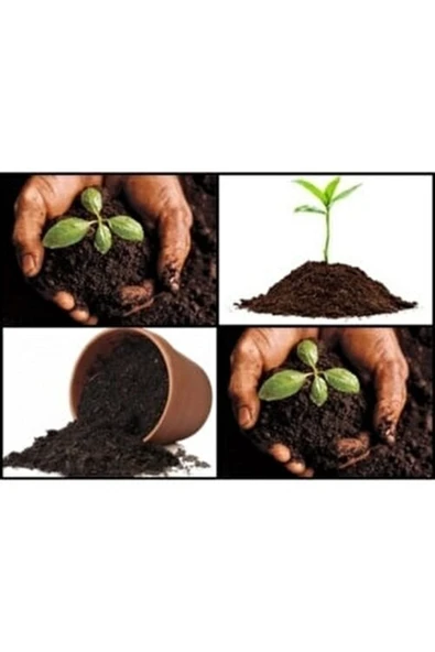Soil Garden Koyun Gübresi Organik Hayvansal Gübre 50 lt