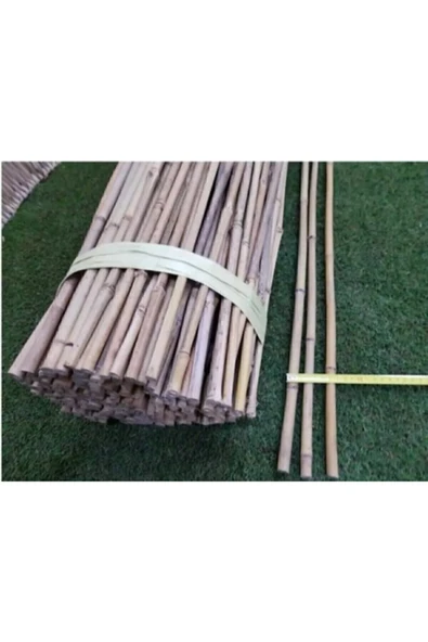 Akik Bambu Bitki Destek Çubuğu 180 Cm (5 Adet) - 3
