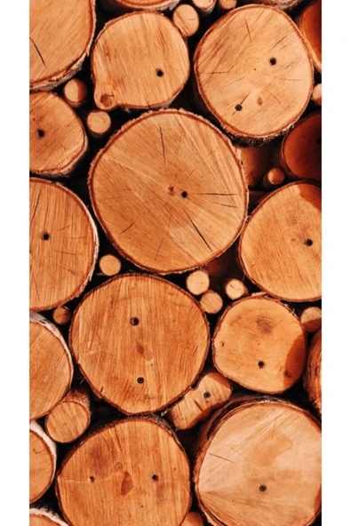 STİL MEYDANI Şömine Odunu 4 Yıl Bekletilmiş Meşe Odunu Hakiki Şöminelik Odun Barbekü Şömine Odunu 100 Kg - Resim 2