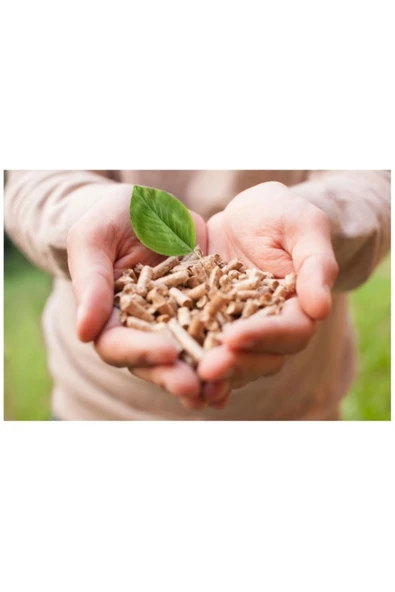 NOK A1 Kalite Çam Peleti Kedi Kumu 5 Kg - 2