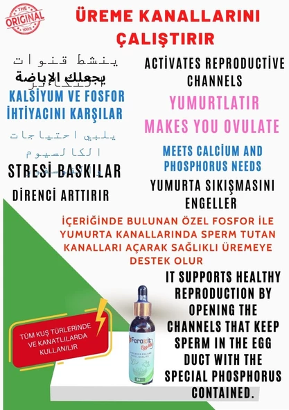 FEROXİT EGG MİX Yumurta Kanalı ve Kabuk Kalitesi Arttırır