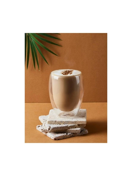 Troy Çift Cidarlı Bardak Double Wall Glass Latte Bardağı 2'li Set 350 ml 12 Oz