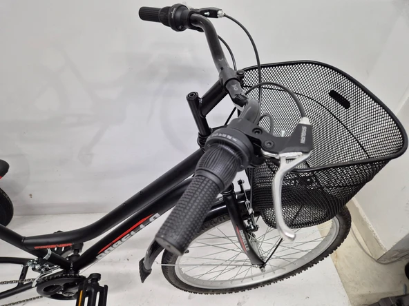 Cargo bisiklet dorello bisiklet pazar bisikleti 3 tekerlek bisiklet