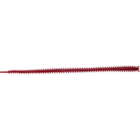 Japanese Ryoshi Red 120mm Elma Aromalı Silikon Sahte Yem