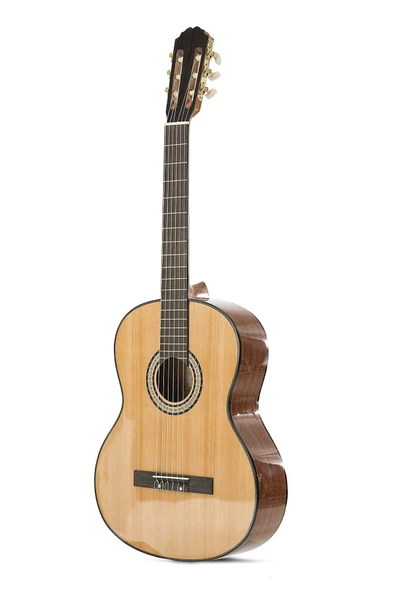 Miguel Artegas Mag150 Klasik Gitar - 2