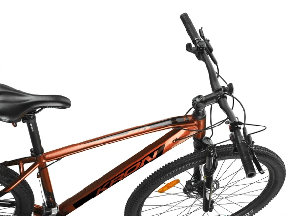 XC 300 - 29  MTB - 19' - 18 Vites - H.DISC - Kahverengi - Siyah ürün görseli