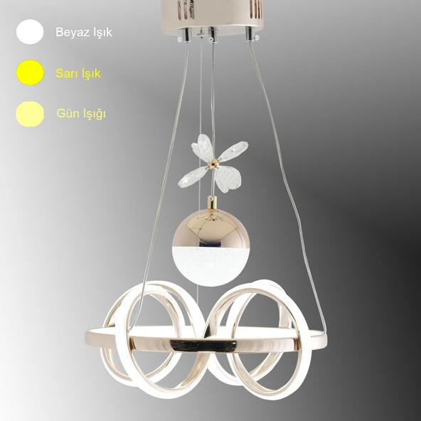 TT003-LDTPL-FSR TT Aydınlatma Sarmal Modeli Fransız Sarı Kaplama Ledli Toplu 3 Renk Modüllü Ledli Av ürün görseli 1