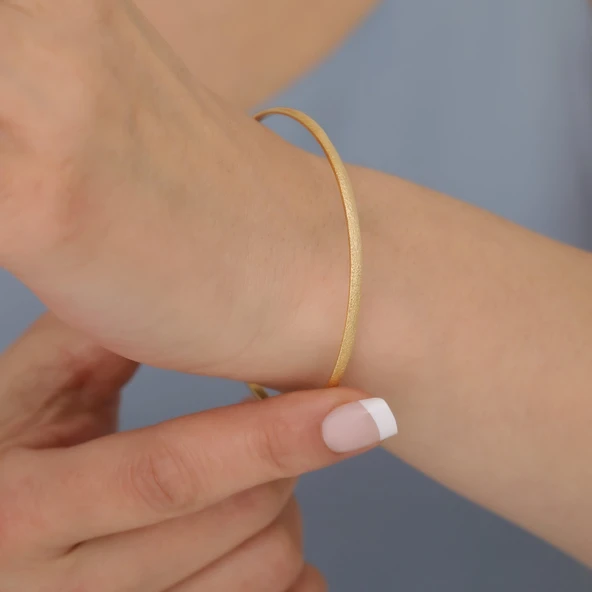 14 Ayar Mikron Kaplama Sim Desenli Ajda Gümüş Bilezik- BV00114 ürün görseli 1