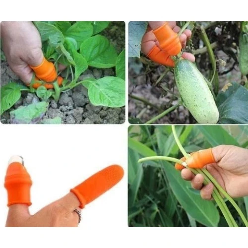 Pratik Baş Parmak Sebze Kesme Ayıklayıcı Erkek L Set - 5