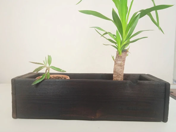 Wood&Pot Dekoratif Yakisugi Saksılık - 55x17x13 - 6