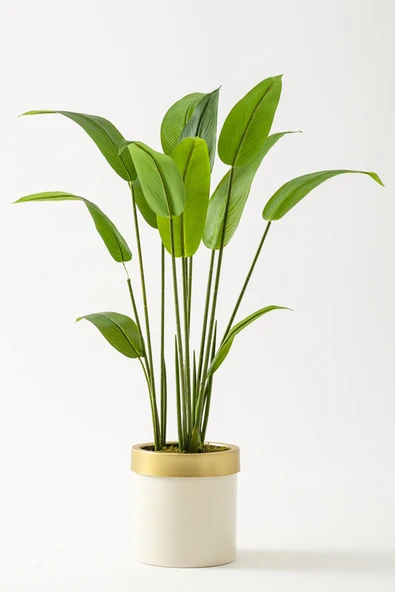 Güleç Yapay Çiçek Yapay Starliçe Ağacı 120 Cm Krem Gold Saksı ürün görseli