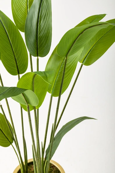 Güleç Yapay Çiçek Yapay Starliçe Ağacı 120 Cm Krem Gold Saksı - Resim 2