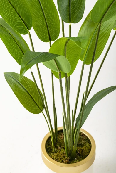 Güleç Yapay Çiçek Yapay Starliçe Ağacı 120 Cm Krem Gold Saksı - Resim 3