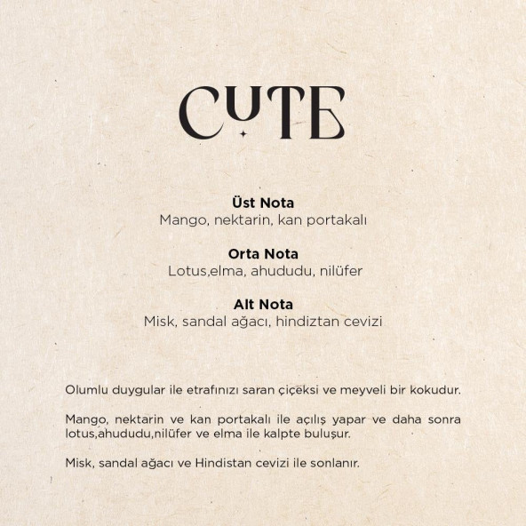E2 Geniş Alan Koku Makinesi Kartuşu Cute 125 Ml - 3