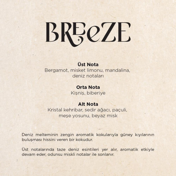 125 Ml. E2 Power Koku Makinesi Aromatik Koku Kartuşu Breeze - 3