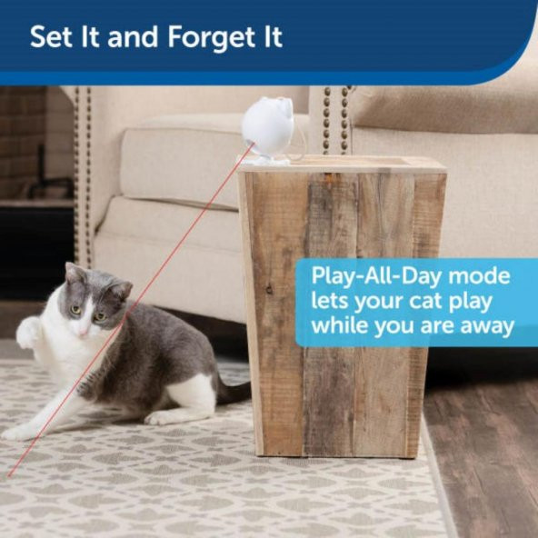 PetSafe Dans Eden Işık Lazer Oyuncak PTY19-17058 - 8