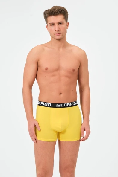 Erkekler İçin %95 Pamuk %5 Elastan Likralı Çok Renkli Boxer – 6’lı Özel Kutu - Resim 3