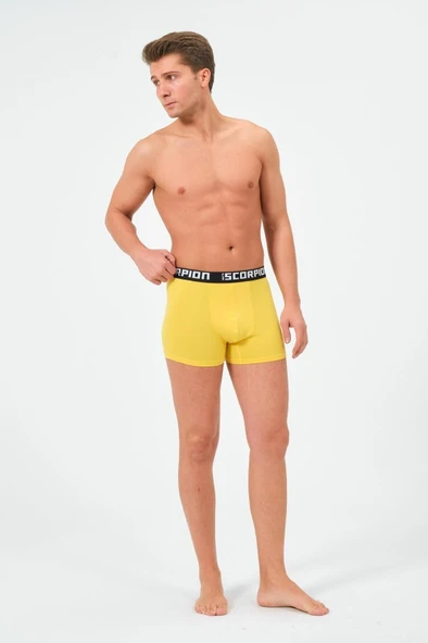 Erkekler İçin %95 Pamuk %5 Elastan Likralı Çok Renkli Boxer – 6’lı Özel Kutu - Resim 4