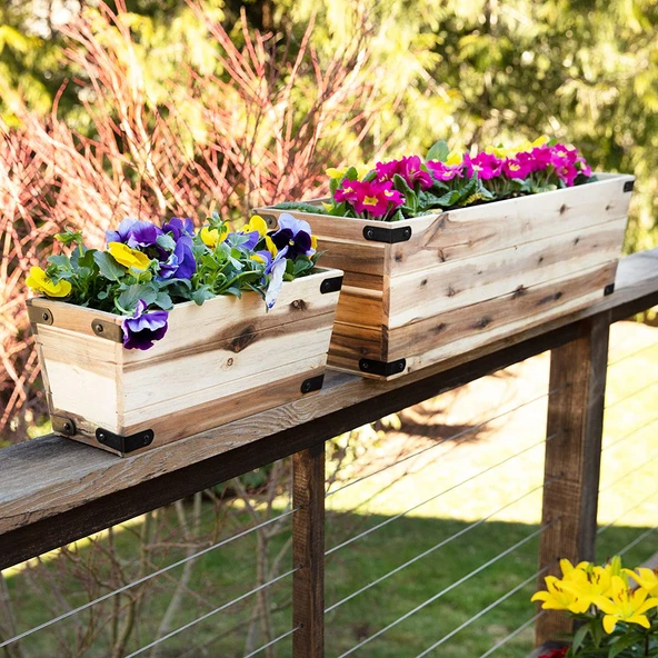 iAhşap Doğal Ahşap Saksı Kutusu, Doğal Ahşap, Çiçeklik - 5