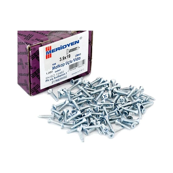 Matkap Uçlu Vida (Meridyen)