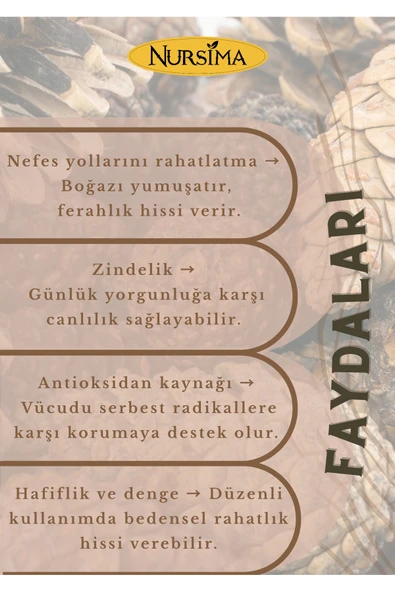 Nursima Kozalak Macunu Doğal Organik Bitkisel Karışım 420 gr - 6