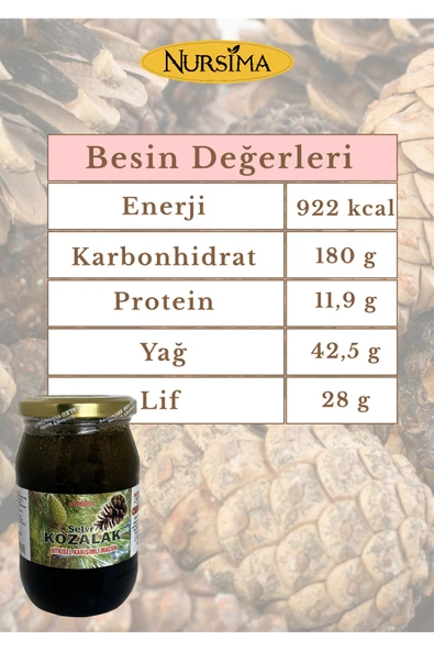 Nursima Kozalak Macunu Doğal Organik Bitkisel Karışım 420 gr - 4